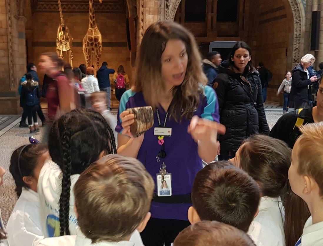 Launcelot Primary tweet media