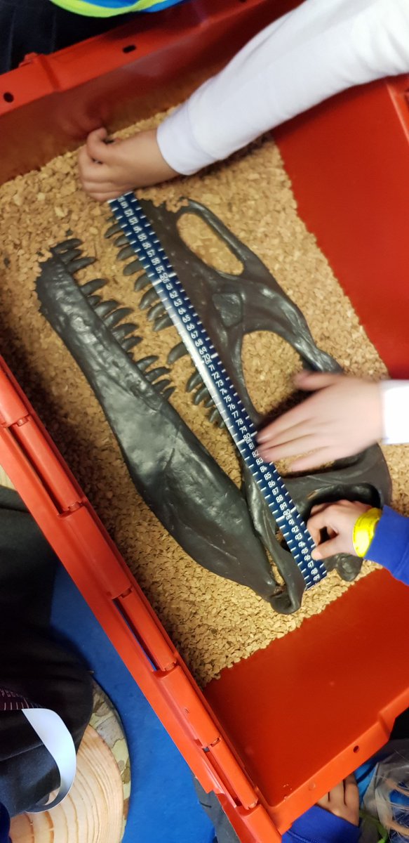 Launcelot Primary tweet media