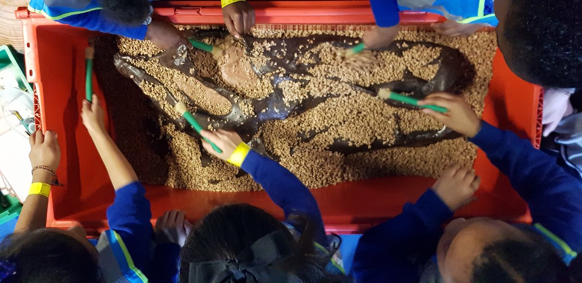 Launcelot Primary tweet media