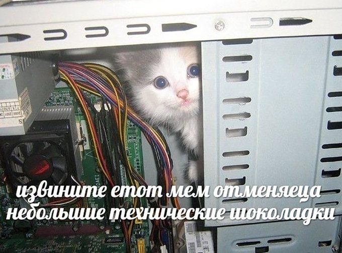 DyzDnLNXQAEELC-?format=jpg&name=small
