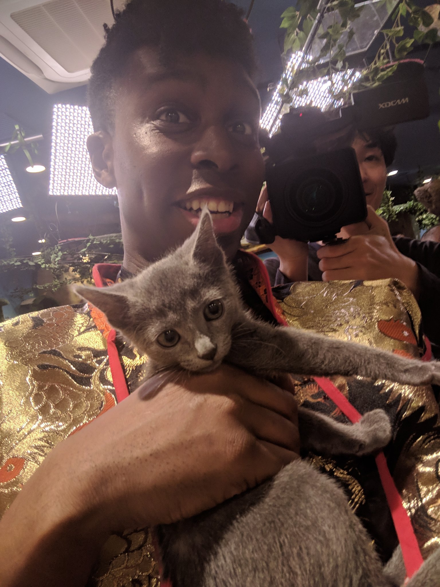 Tvチャンピオン極 Kiwami Tvkiwami Twitter