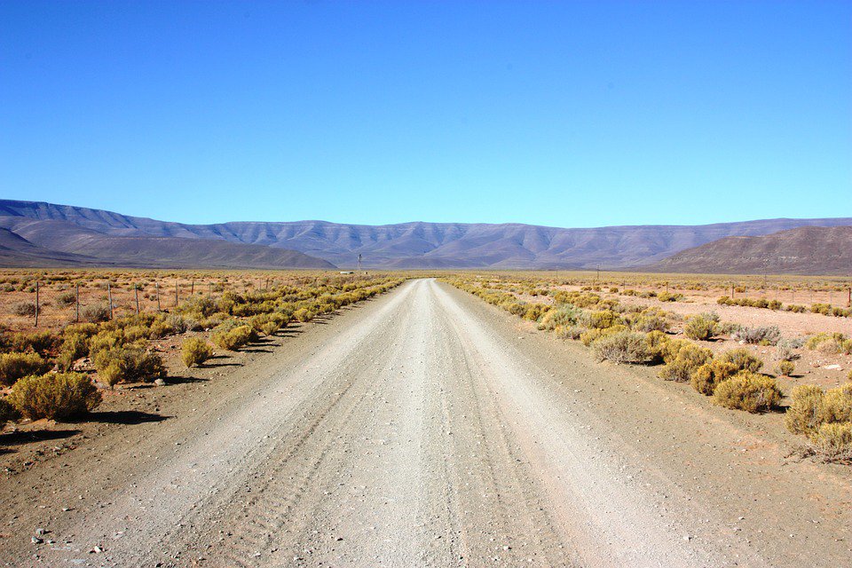 “At first encounter, the Karoo may seem arid, desolate and unforgiving, but to those who know it, it is a land of secret beauty and infinite variety.” ― Eve Palmer, Plains of Camdeboo
#BookDirect #RevivetheRichmond #RichmondNC #roadtripping