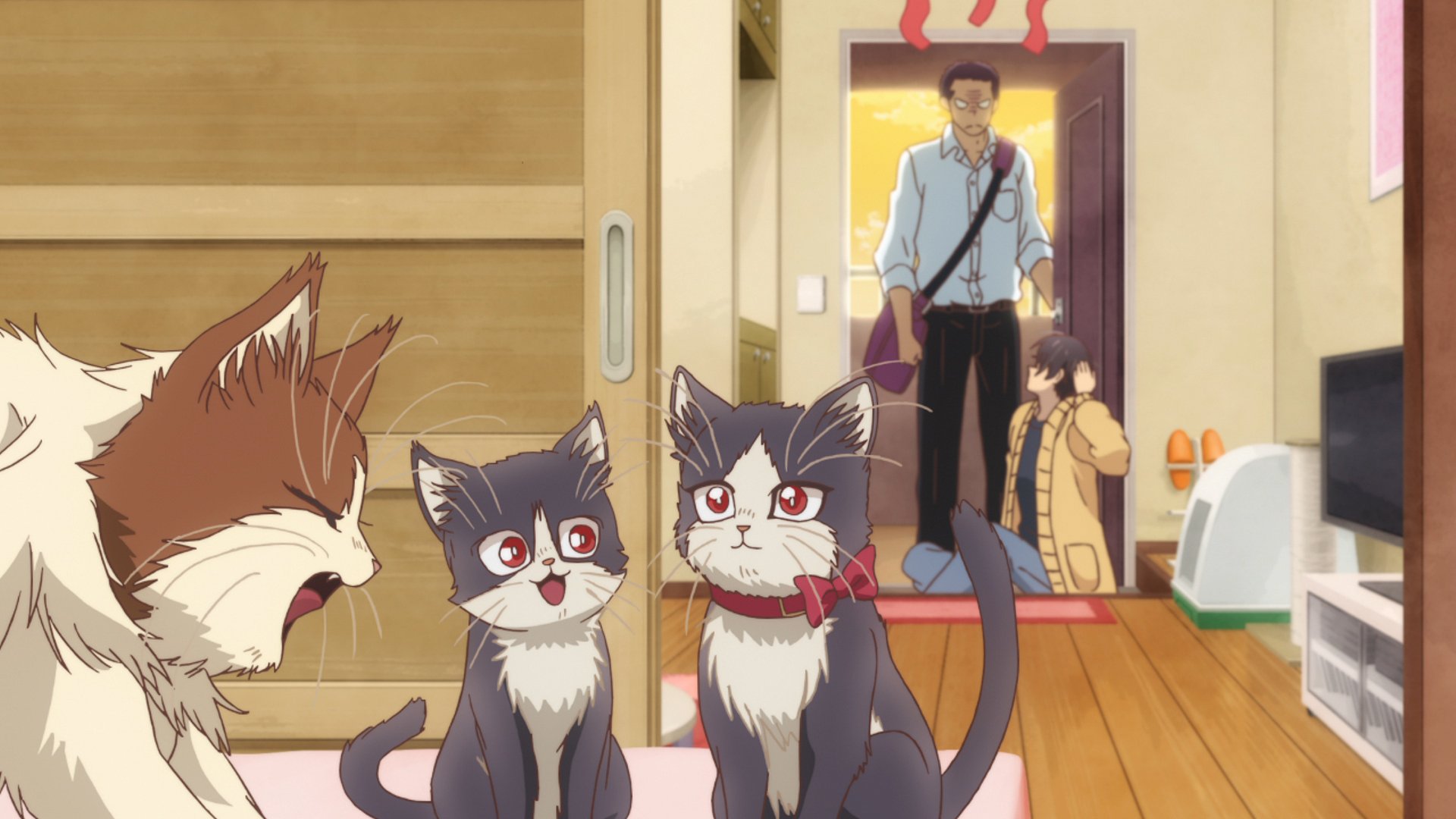 Tvアニメ 同居人はひざ 時々 頭のうえ ひざうえ 観てね 放送までもう間もなく Tvアニメ 同居人 はひざ 時々 頭のうえ 第5話 君に伝えたいこと がtokyo Mxにて24 00 Bs11にて24 30 放送開始です Tokyo Mxの放送までもう