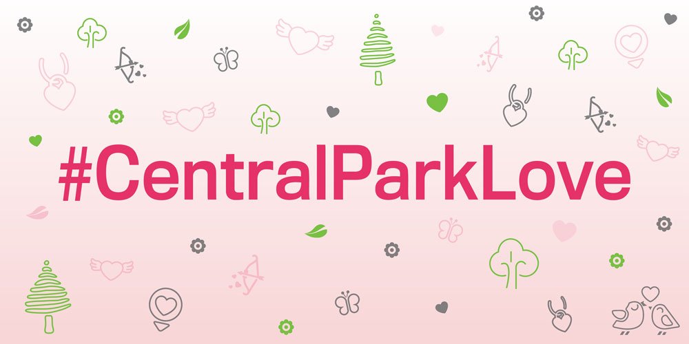 Central Park tweet media