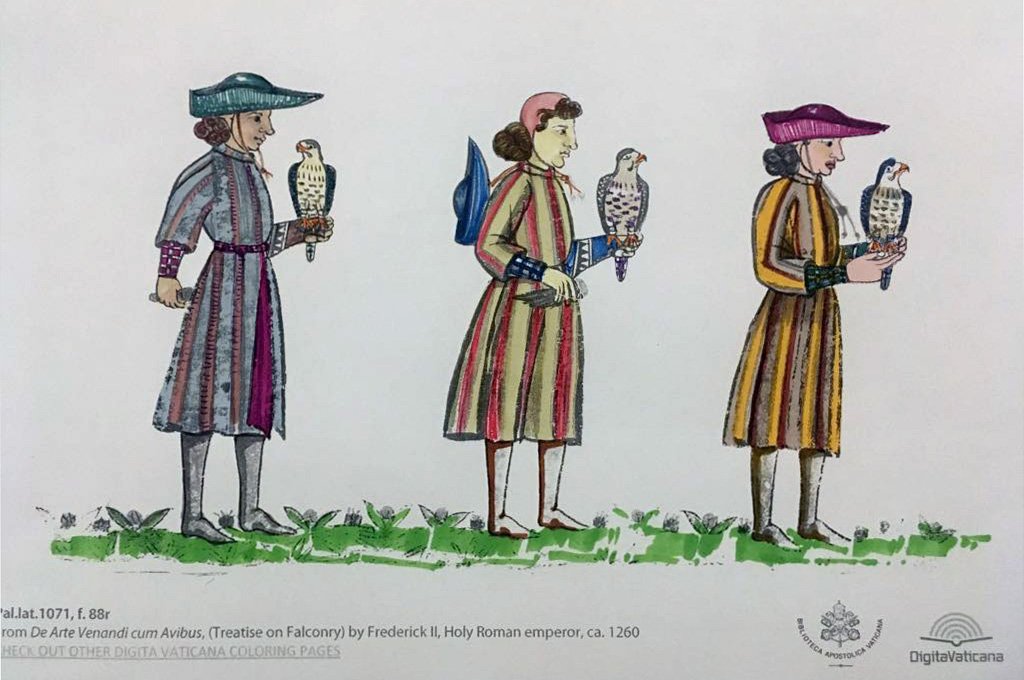 From our 2018 Coloring Book, this is one of your colored pieces we prefer! #ColorOurCollections and treat yourself to a relaxing moment with De Arte Venandi cum Avibus by Frederick II. Download here: digitavaticana.org/wp-content/the…