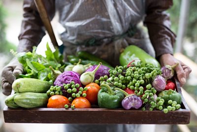 wealth_monitor's tweet image. Food for Thought: Food is important to many Asians. It is a successful cultural export and source of pride for the diaspora – probably the most potent expression of Asian ‘soft power’.#import #probability #diaspora 

Read this and more on
wealth-monitor.com
for topics across