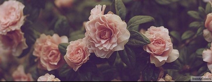 Show me your eternal green
With tender hope of flourished bloom
Unfolding through times endless tale 
Daffodils dance and dream longingly for spring
Earthed upon winters pale bosom 
Awaiting breathless their petals to be seen

DMB 2/5/19