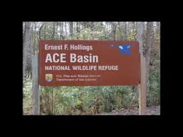 USFWSFire's tweet image. #USFWS #activemanagement Firefighters plan to conduct a 644 acre prescribed fire today at the Ace Basin NWR #SCfire  #GoodFires 🔥This burn will be adjacent to the City of Yemassee, SC.  With the SW winds smoke will move away from town.