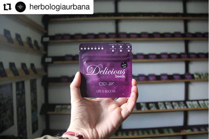 DeliciousSeeds's tweet image. Repost @herbologiaurbana 😍
• • •
@deliciousseeds esta dejando patada 🌱🔥 puedes encontrar esta línea en tienda @herbologiaurbana nenas estables siempre❤️😍
Ph📸 @_verdugovictor
#patagoniawildlabs #cannabis #cannabisculture#extracts #rosintech #resina #aceites #deliciousseeds