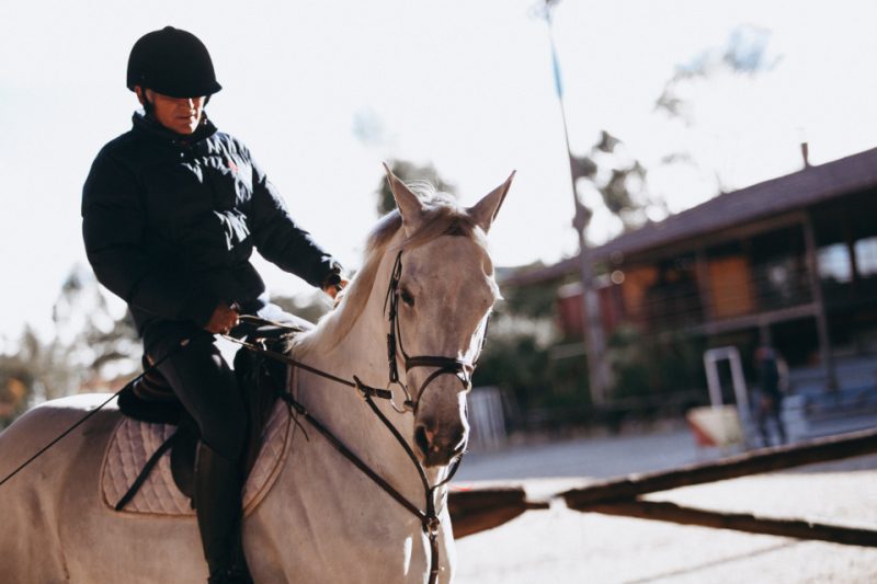 PrioryCarAndVan's tweet photo. Do you know the rules about driving around horses? - Sharing The Road Safely - Our Tips https://t.co/SIMiTy8QNz https://t.co/IehumyqyPW
