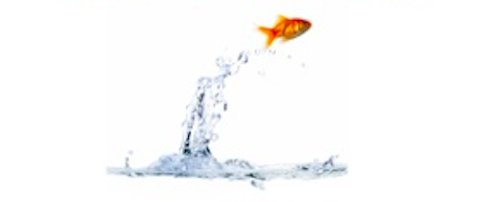SusanColantuono's tweet photo. No Ceiling, No Walls takes a fresh, unblinking look at leadership. It identifies the vital missing piece of the leadership equation, and offers specific, actionable information not found anywhere else https://t.co/ypVPpFluSb
#missing33percent #careeradvice #womeninbusiness https://t.co/u1M2mm3bdK