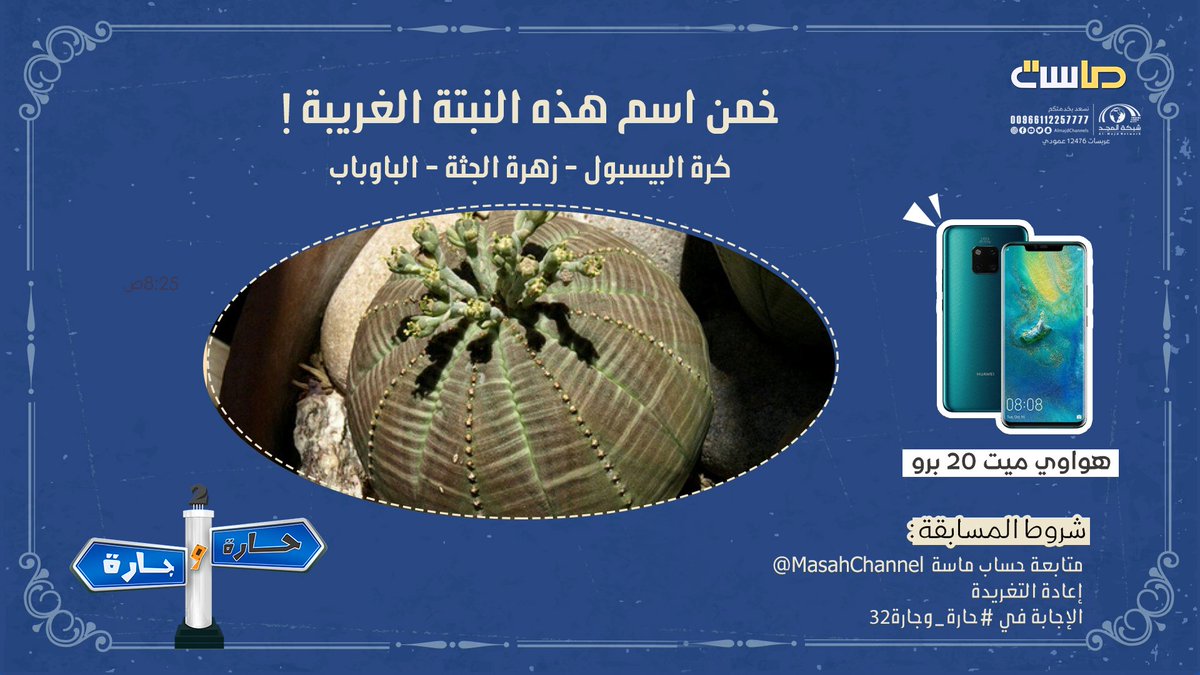 MasahChannel's tweet photo. 🎁هواوي ميت 20 برو 🎁
السؤال : خمن اسم هذه النبتة الغريبة ! 🤔
طبّق الشروط لتدخل في السحب 😍
#حارة_وجارة32
#قناة_ماسة
#همثون13 https://t.co/xT5SbREYpq