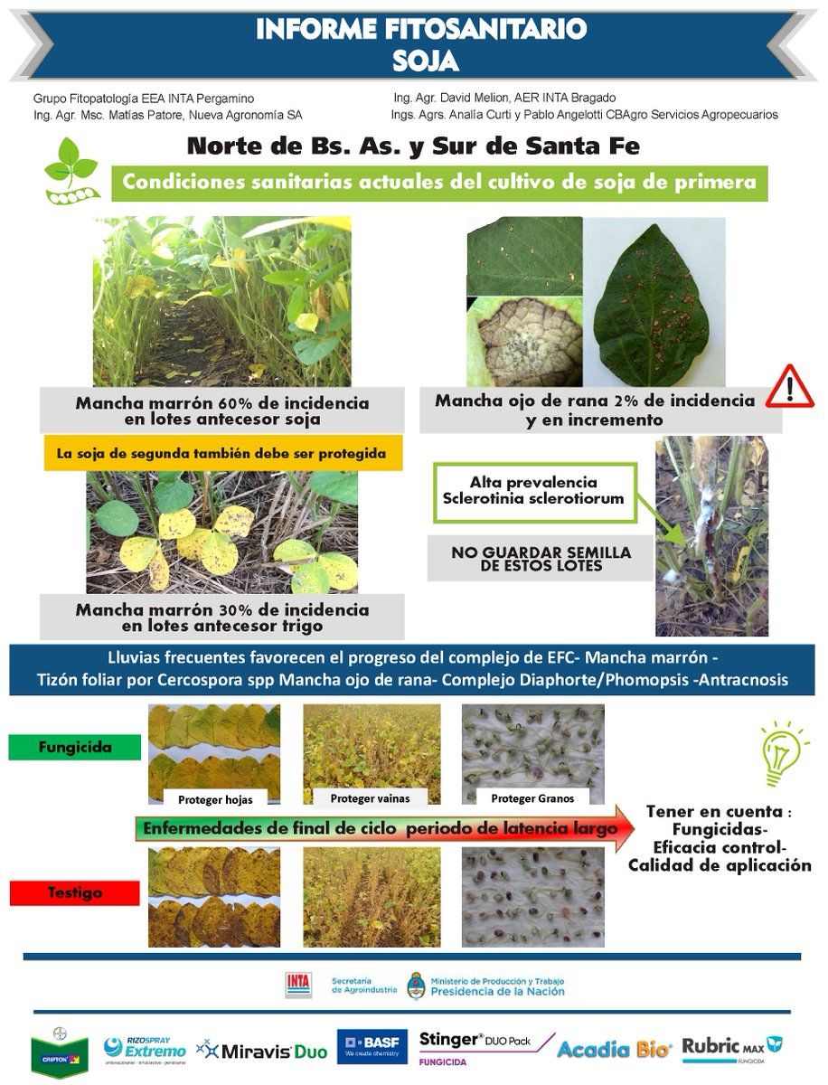 lhraste's tweet photo. ✅ #Ahora 📢 3° Informe Fitosanitario #Soja 🌱 @lucrecouretot @IntaPergamino @INTACRBAN @nuevagronomia @CBAgro_ServAgr @MatiasPastore3 @anicurti @PabloAngelotti @BayerAgroArg @RizobacterARG @Syngenta_ar @BASFAgro @AdamaArgentina  @CortevaARG @fmcargentina https://t.co/DNSyBGzVkX