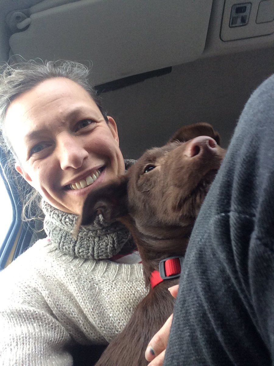 Sophie Walraven tweet media