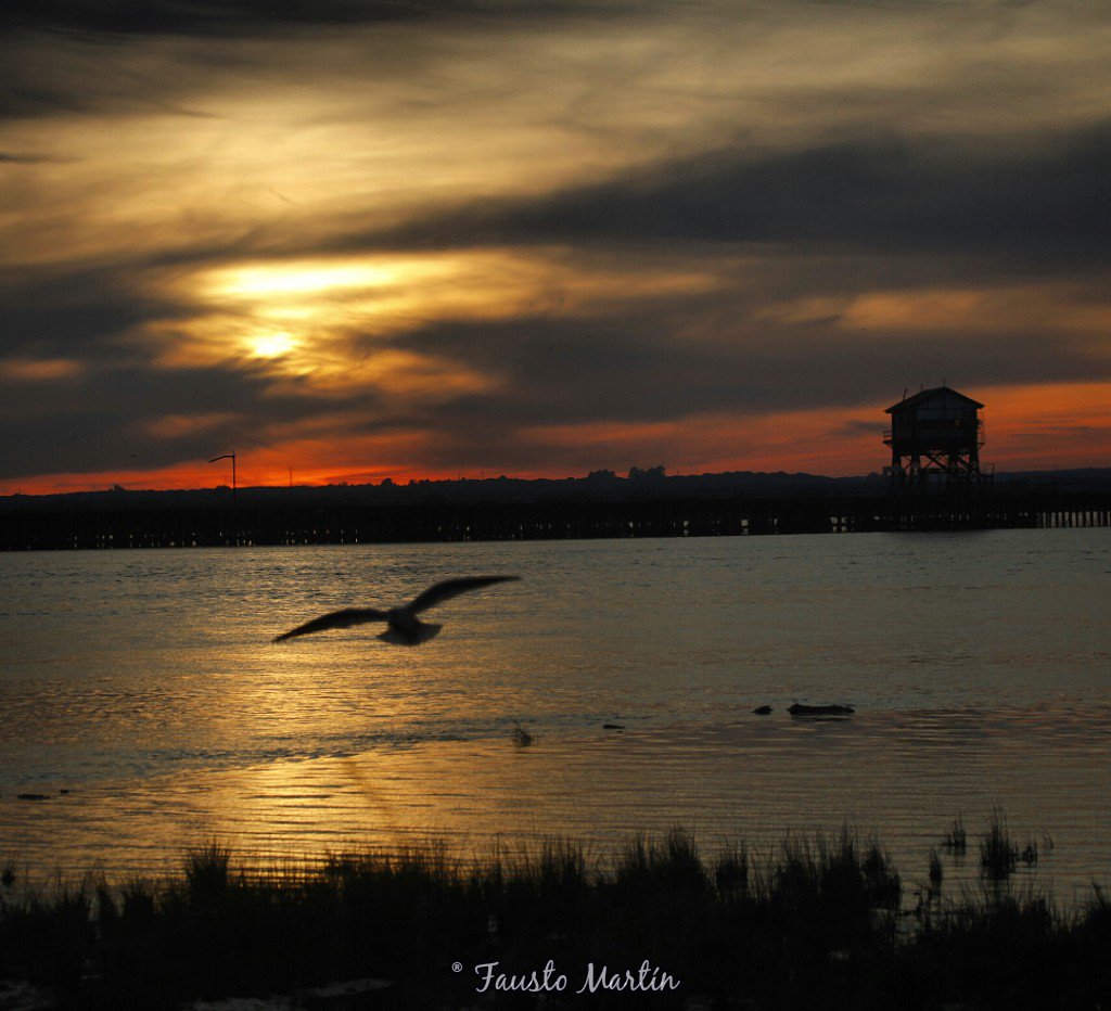 Paraíso onubense
Muelle de Tharsis 
#Huelva #fotografia #HuelvaLaLuz #sienteHuelva #masdehuelvaqueunchoco #PintoFotografía #vistoenandalucia #canonespaña <a href="/Meteohuelva/">MeteoHuelva.es</a> <a href="/andalucia_news/">Andalucía in English</a> <a href="/huelvaturismo/">huelvaturismo</a> <a href="/viveandalucia/">Vive Andalucía</a> <a href="/APHuelva/">Puerto de Huelva</a> <a href="/andaluciaparais/">andaluciaparaiso ❤</a> @eltiempoccosta