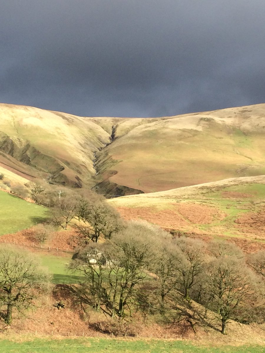 Because nature is beautiful just as it is #nofilter