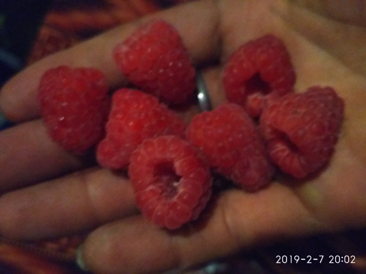 EssentialMas's tweet photo. Ada yg kenal buah ini? https://t.co/3iQ3RvjGbd