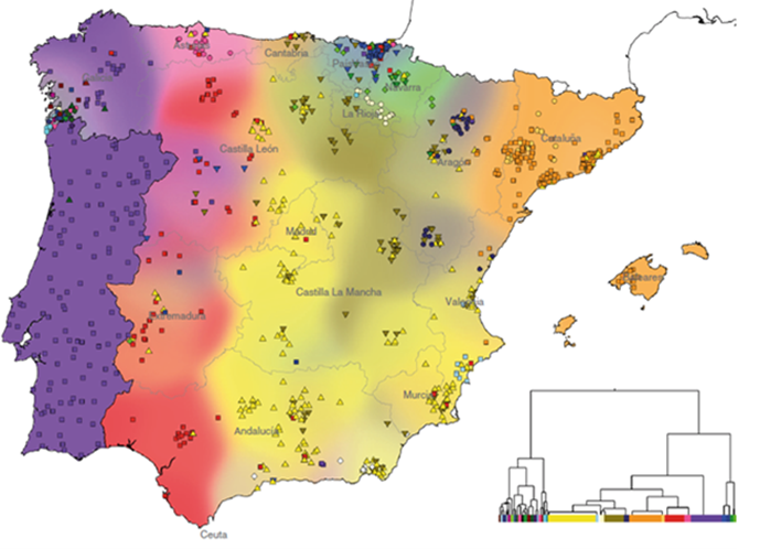 The genetic history of the Iberian Peninsular, @bycgen et al 2019
