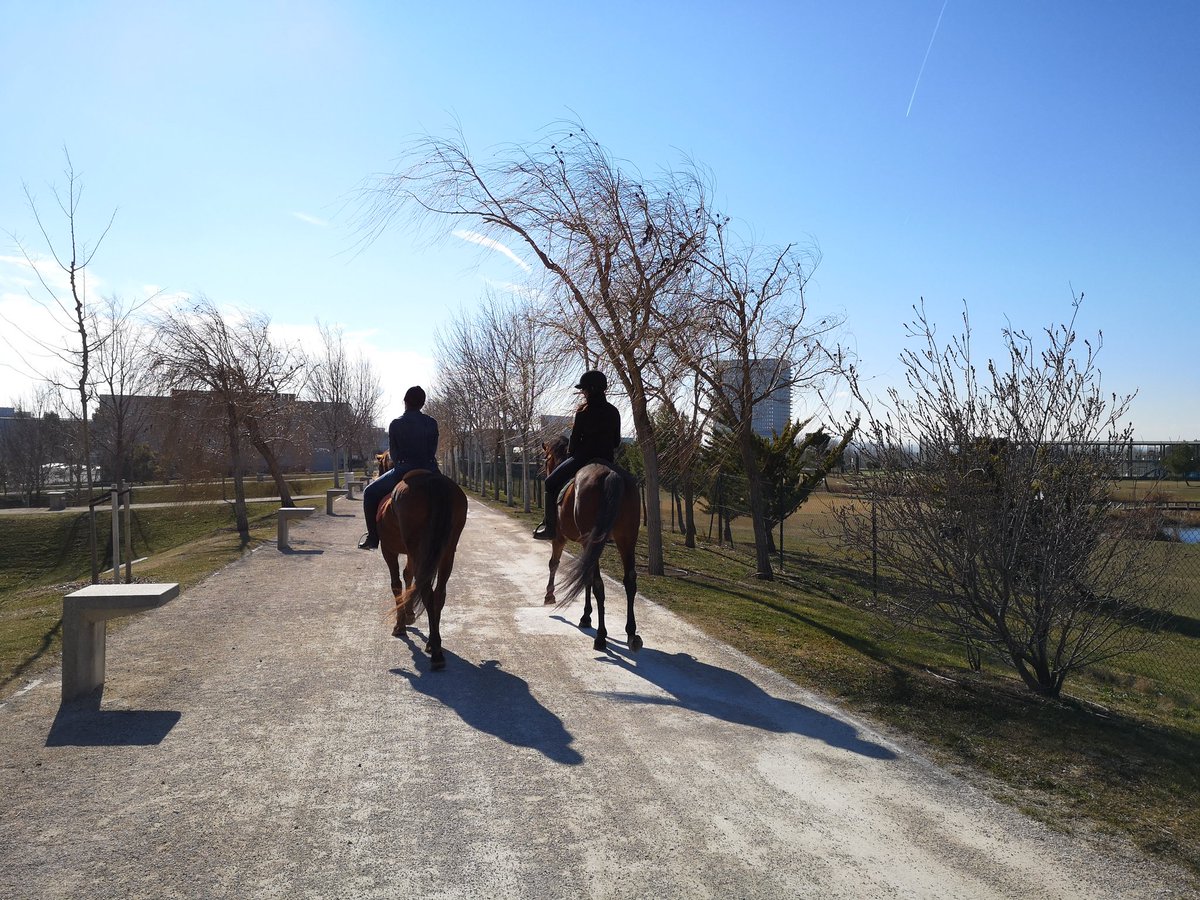 Disfrutando del Parque <a href="/hipicaPdA/">Hípica Parque Agua</a>