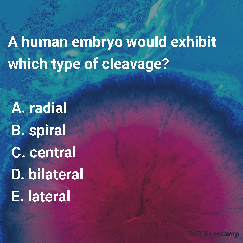 DATBootcamp's tweet photo. Here is Thursday's #DAT question of the day!

#DATBootcamp #DAT #DATprep #Studying #DBC #Biology #Chemistry #Physics #Orgo #Notes #Predent #Dentistry #Questionoftheday #Dentalschool #PredentalStudent #Predentistry #sciencelabs #loveteeth #dentalexam #dentalstudentlife #studytime https://t.co/njv6qo8O2R