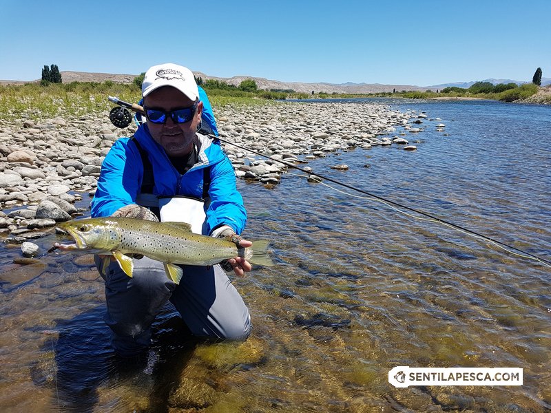Sentilapesca's tweet photo. INFORMES | Medio día de pesca en el Caleufu > https://t.co/T7WM6h1kZI

#pescadeportiva #truchas #fly #flyfishing #conmosca #caleufu #rio #condevolucion #lanin #decosta https://t.co/21z5c1Cbju