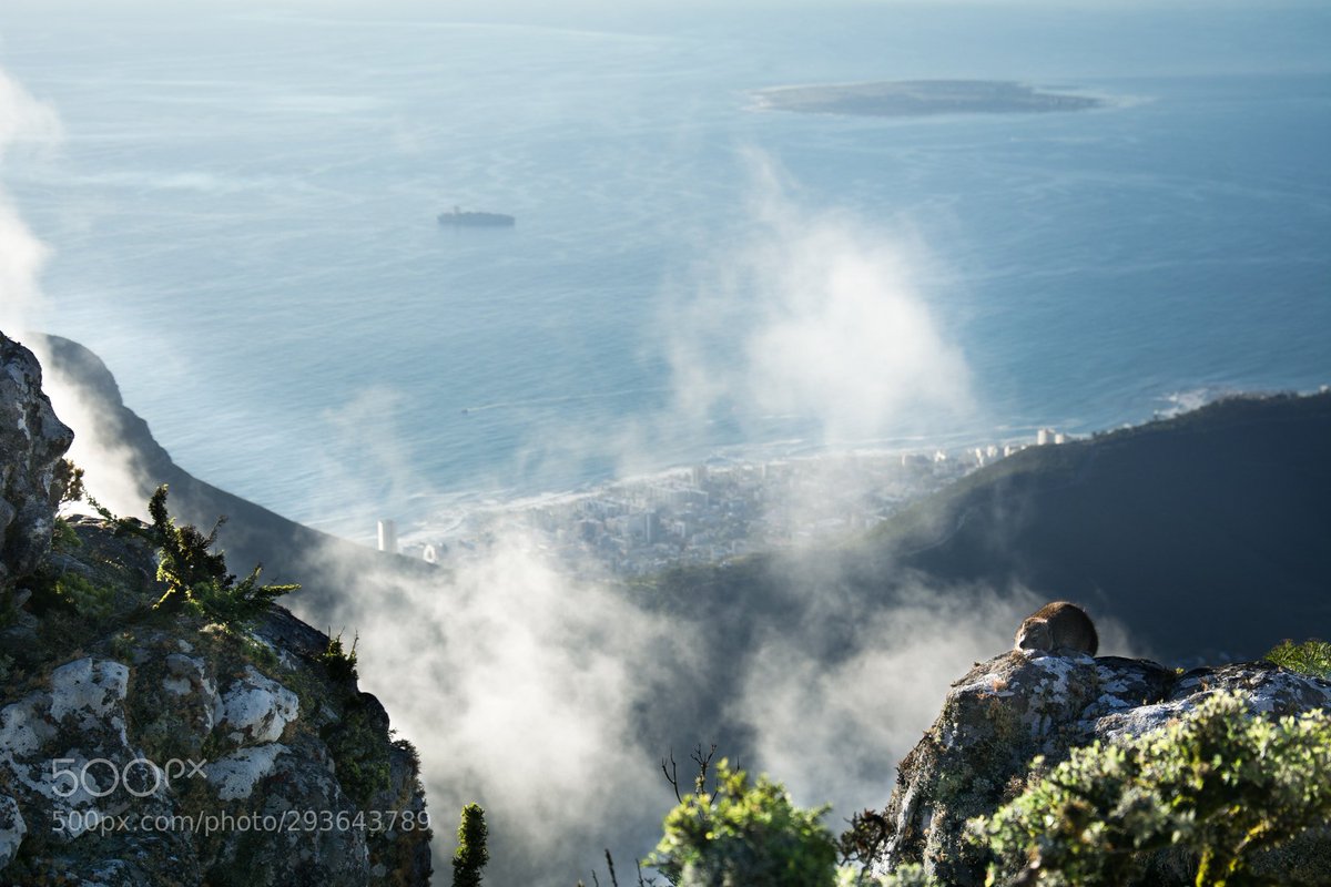 Table Mountain Pics tweet media