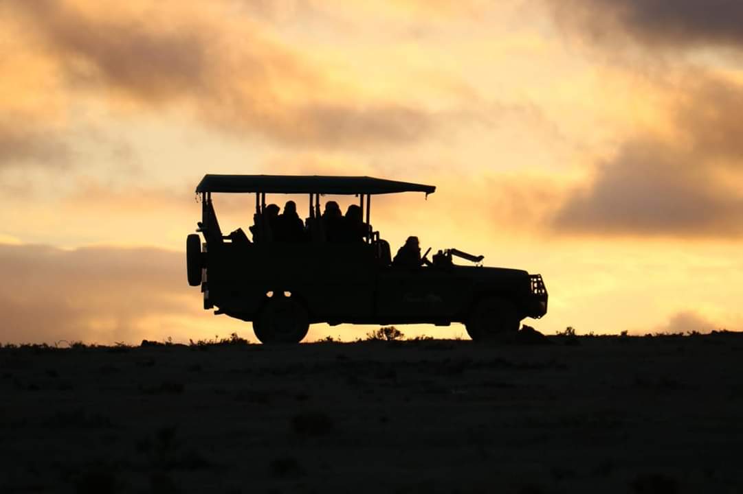 pumbarangers's tweet photo. Here's to chasing sunsets and wild adventures! 

📷: Ranger Cameron
#sunset #SunsetTrip #Safari #wildlife #Africa #SouthAfrica https://t.co/JR5nF4DphZ