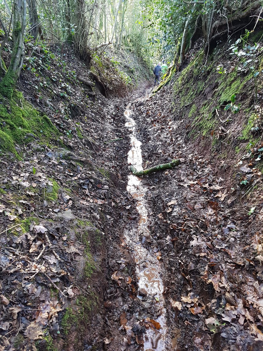 WilmottColin's tweet photo. @GriffHarriers Sorbrook Slog route looking good. If you like off road you will love this. https://t.co/ltbJIuliP5