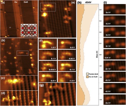 online chain length dependent bimolecular termination in free radical polymerization theory validation and