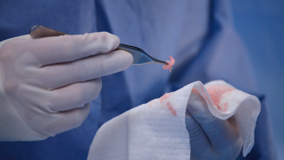 PlasticSurgeryClinic tweet media