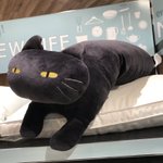 ニトリのブサカワ猫クッションがかわいいｗ