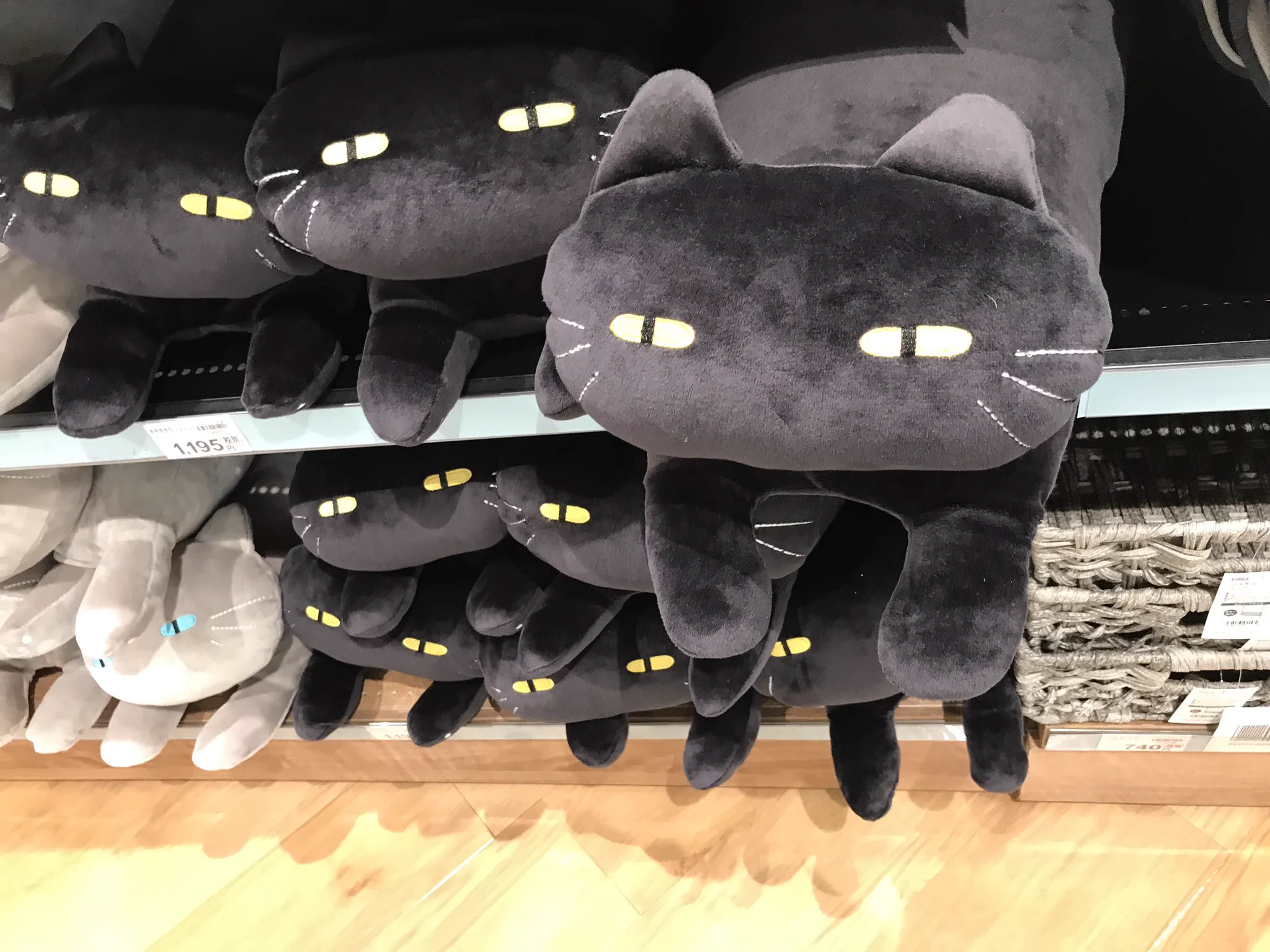 ニトリのブサカワ猫クッションがかわいいｗ