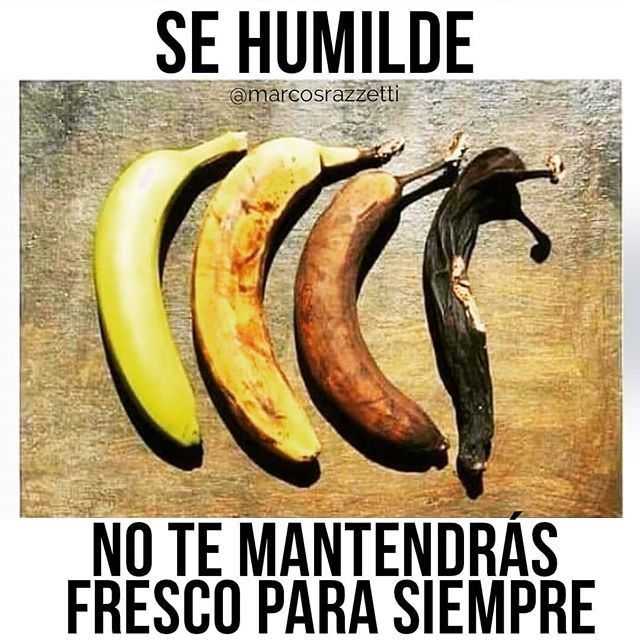 MarcosRazzetti's tweet photo. Fuerte reflexión 👆👆. .
Cuando estés abajo no creas que eres el peor y cuando estés en la cima no te creas el único.
Comenta debajo 👇¿Qué título le pones a esta imagen?
Recuerda comentar usando #BlueHacker para ganar premios semanales. .
.
.
.
.
.
… https://t.co/9hNjJuLQar https://t.co/po5oQvN7X1