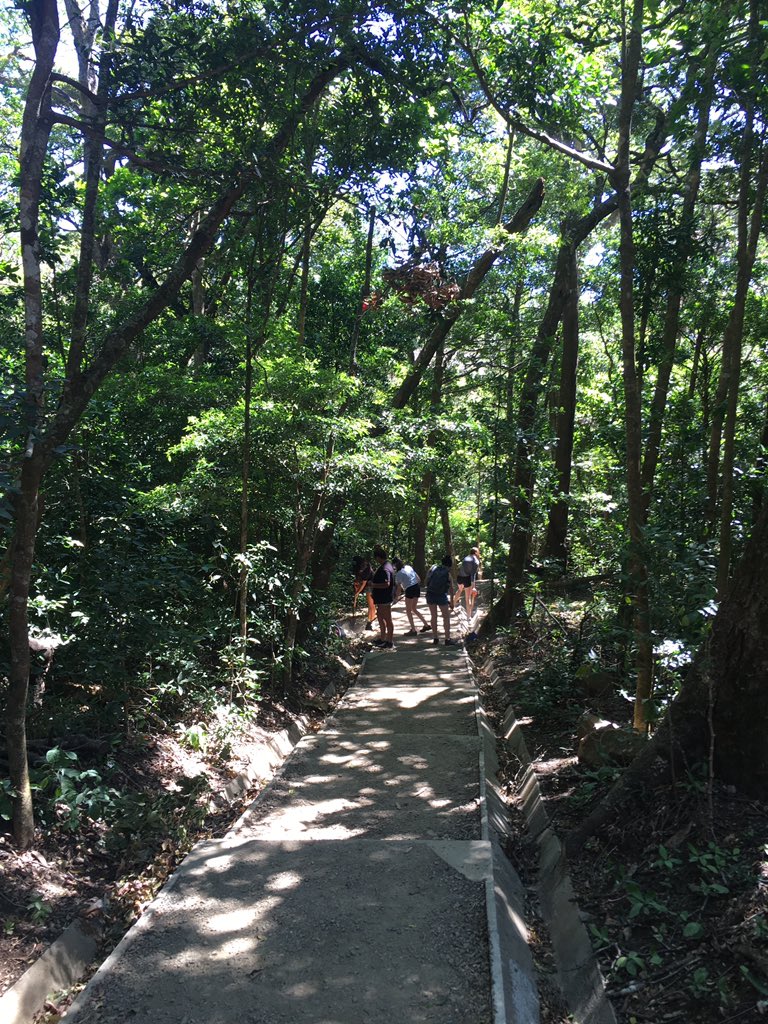 ODSSCostaRica's tweet photo. Today we volunteered at the Ricon de la Vieja National Park. https://t.co/Ir4NZdJC71
