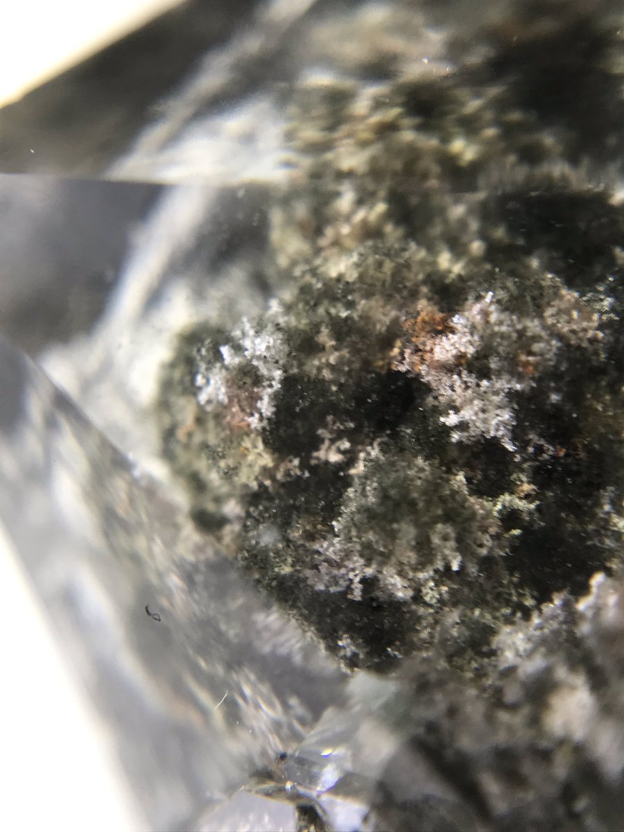 欲しかったガーデンクォーツ(*´-`)
クローライト？のインクルージョンがモリモリな上バッチリ見えてていい感じ(^^)