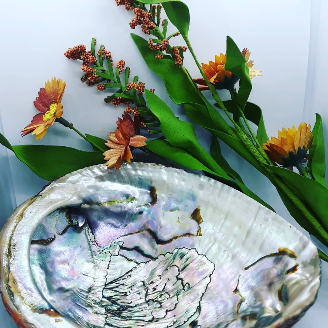 DegitanaV's tweet photo. New #abaloneshells available soon at https://t.co/yL8AI5TR6F 6 to 7 inch and gorgeous. Purchase alone or in #smudgingkit https://t.co/KRxftlQEIG