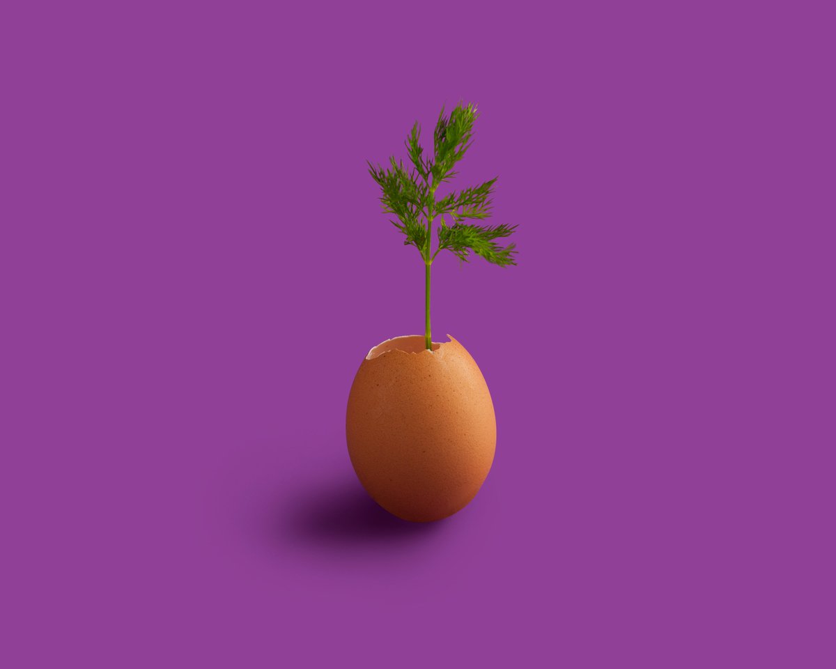 awesomentl's tweet photo. Are you hatching plans and ideas for the next Awesome Newcastle cash money give away?! We'll soon be selecting finalists for March! Remember applications never expire and we often get finalists back. Apply today by clicking this link: https://t.co/AdglwypT4C… https://t.co/RzDqULvIYb