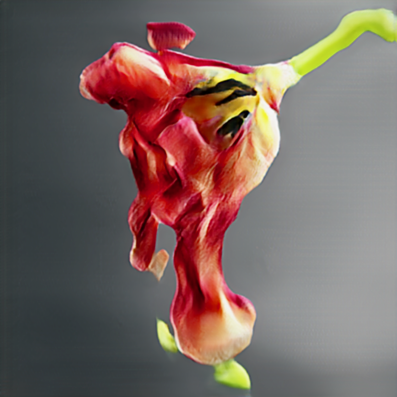 NeuralBricolage's tweet photo. Tulipa Decaydencia
#thistulipdoesnotexist #surrealBotany #unnaturalHistory
#noStyleGAN https://t.co/HotZEHHMko