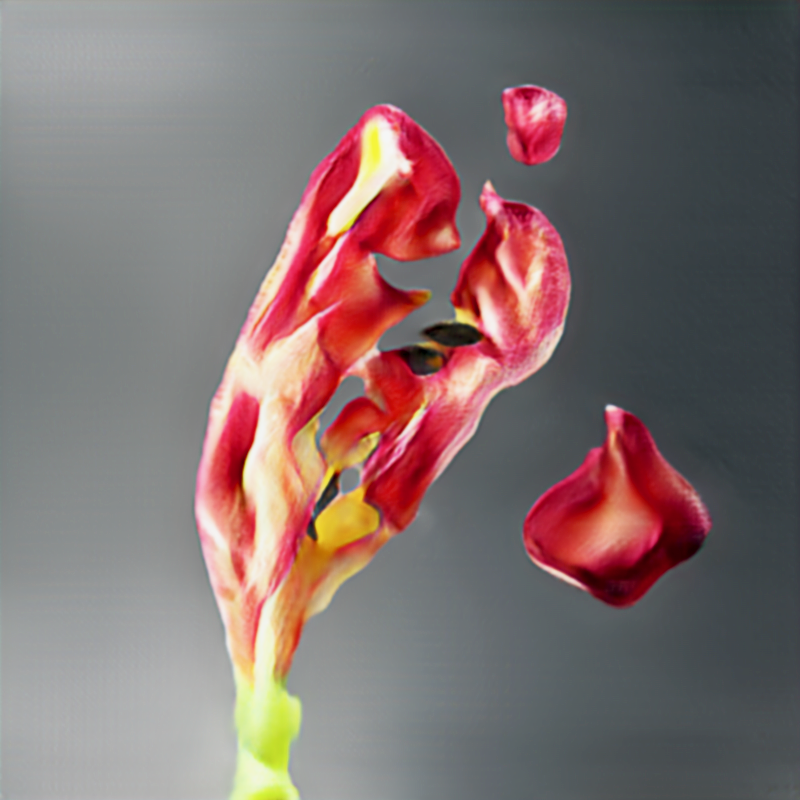NeuralBricolage's tweet photo. Tulipa Decaydencia
#thistulipdoesnotexist #surrealBotany #unnaturalHistory
#noStyleGAN https://t.co/HotZEHHMko