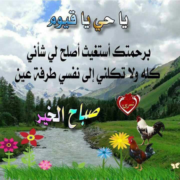 حسين علي (@hsen666vip) on Twitter photo 