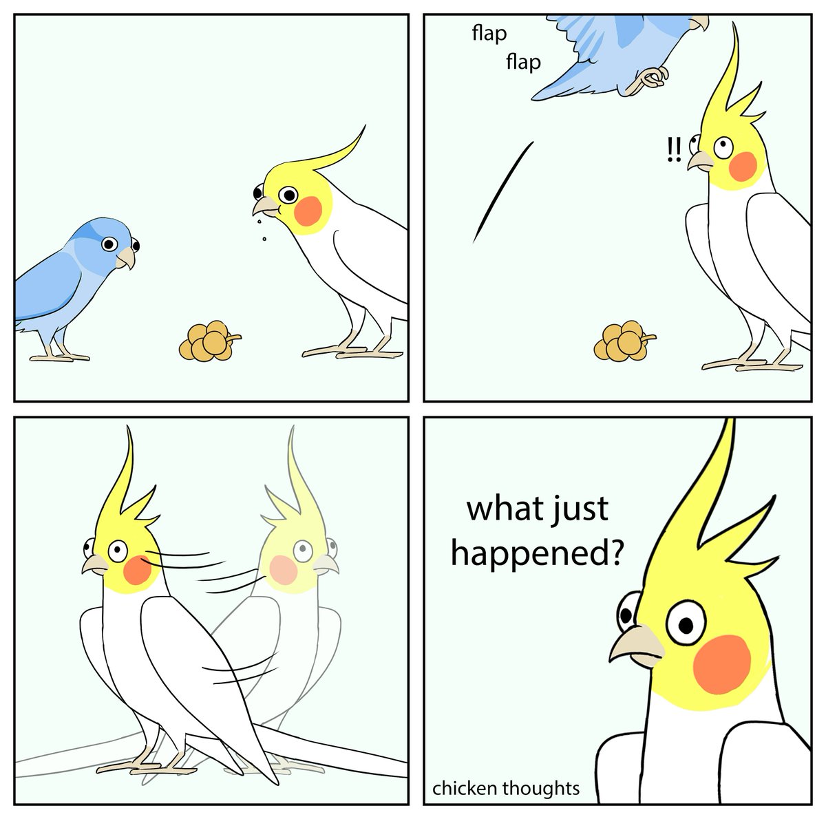 #birb 