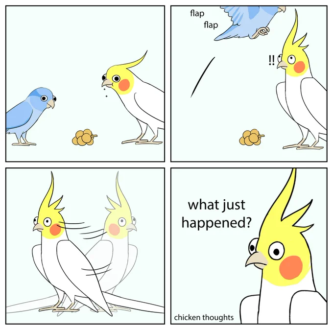#birb 