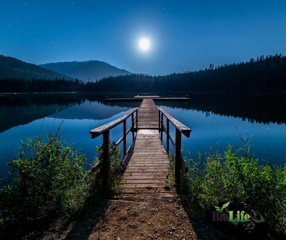 biolifenow's tweet photo. Your body needs relaxation to regain energy and stay healthy. #supplements #fitness #gym #fitfam #bodybuilder #gymlife #fitnessmotivation #nutriton #biolife #biolifenow #strengthofaman #strengthofawoman #biolifeplus #diabetes #hypertension #cholesterol #arthriti https://t.co/nIDeCg9ccx