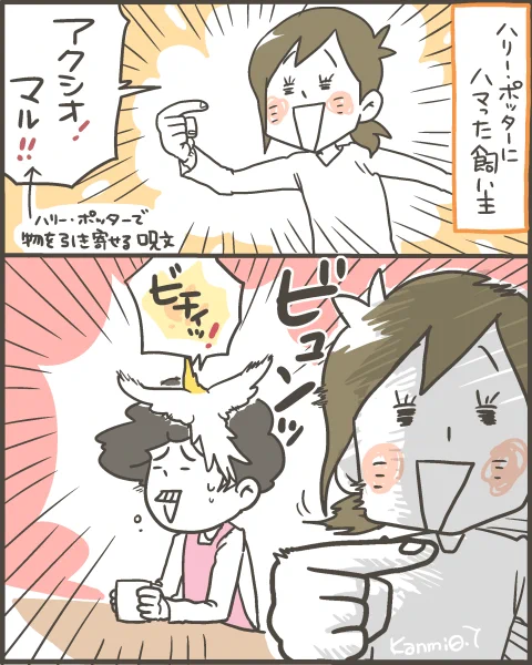 鳥飼いであれば簡単に出来る、ハリポタ魔法体験!(成功するとは言ってない) 