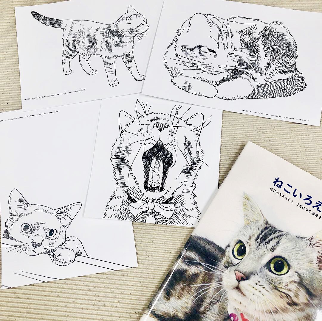 50 素晴らしい鉛筆 猫 イラスト リアル アニメ画像