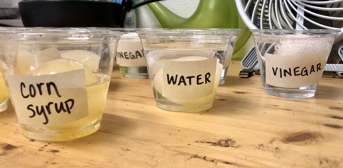 ashleyfcarter's tweet image. Out of the classroom this year, but I still find myself doing lab prep... 😂🤗 #onceateacheralwaysateacher #labsareawesome #sciencerocks