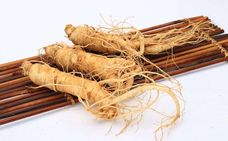 #PanaxGinseng in addition to its many benefits increases insulin sensitivity
qherb.net/news/panax-gin…