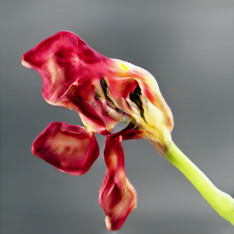 NeuralBricolage's tweet photo. coq au GAN
#surrealBotany #unnaturalHistory https://t.co/3TBGpN1VVR
