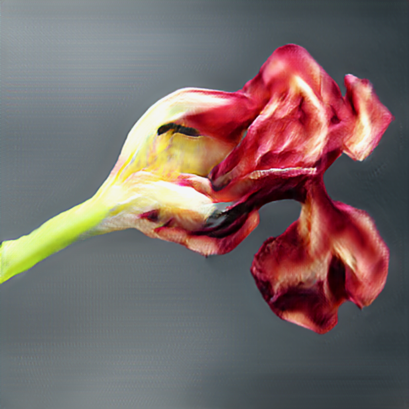 NeuralBricolage's tweet photo. coq au GAN
#surrealBotany #unnaturalHistory https://t.co/3TBGpN1VVR