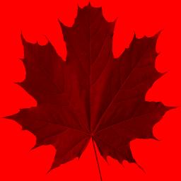 MbongShu's tweet image. my book S’EX, lists techniques to rekindle your romance and reignite passion relationships: 
• Communication; privacy, etc Originality, Respect, Consent/ Equality in bed Health and odor, Check in with each other, etc
#Parenting 
#InvolvedParenting  
#InvolvedParentingAndSex